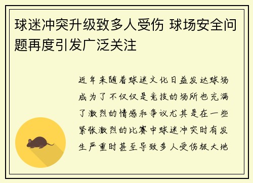 球迷冲突升级致多人受伤 球场安全问题再度引发广泛关注 球迷冲突升级致多人受伤 球场安全问题再度引发广泛关注