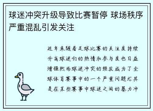 球迷冲突升级导致比赛暂停 球场秩序严重混乱引发关注 球迷冲突升级导致比赛暂停 球场秩序严重混乱引发关注
